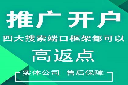 SEM投放案例：打造高转化率广告